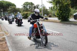 NUM07877