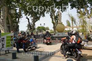 NUM07955