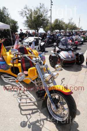 NUM07971