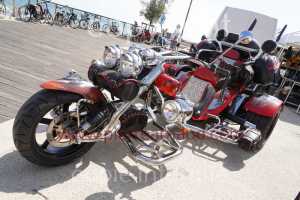 NUM07974