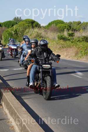 NUM08056