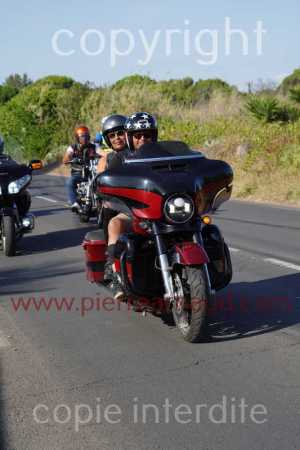 NUM08297