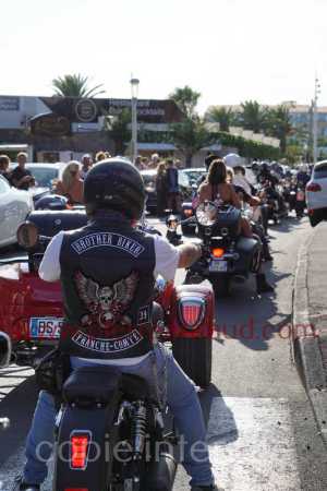 NUM08338