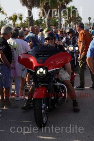 NUM08352