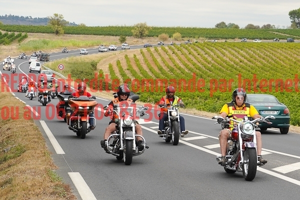 6020_photo_officielle_brescoudos
